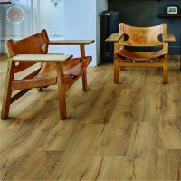 MODULEO MOUNTAIN OAK 56440